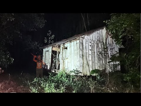 THE WOODCUTTER WAS FURIOUS AND PROVED THAT HE WAS IN THE HAUNTING PLACE