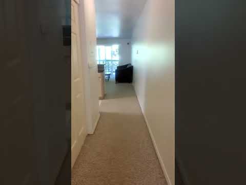 808 High St - Video 2 of 2