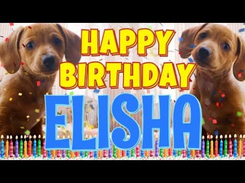 Happy Birthday Elisha! ( Funny Talking Dogs ) What Is Free On My Birthday
