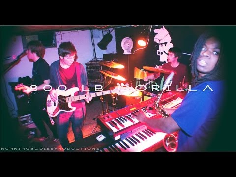 800lb Gorilla (Live February 1st, 2014)
