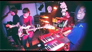 800lb Gorilla (Live February 1st, 2014)