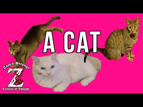 Sense & Reference 1: How to Name a Cat