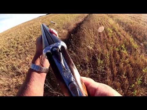 15 08 2023 MEDIA VEDA EN PRADANOS DE OJEDA