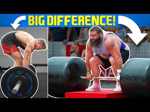 Muscular Strenght Title