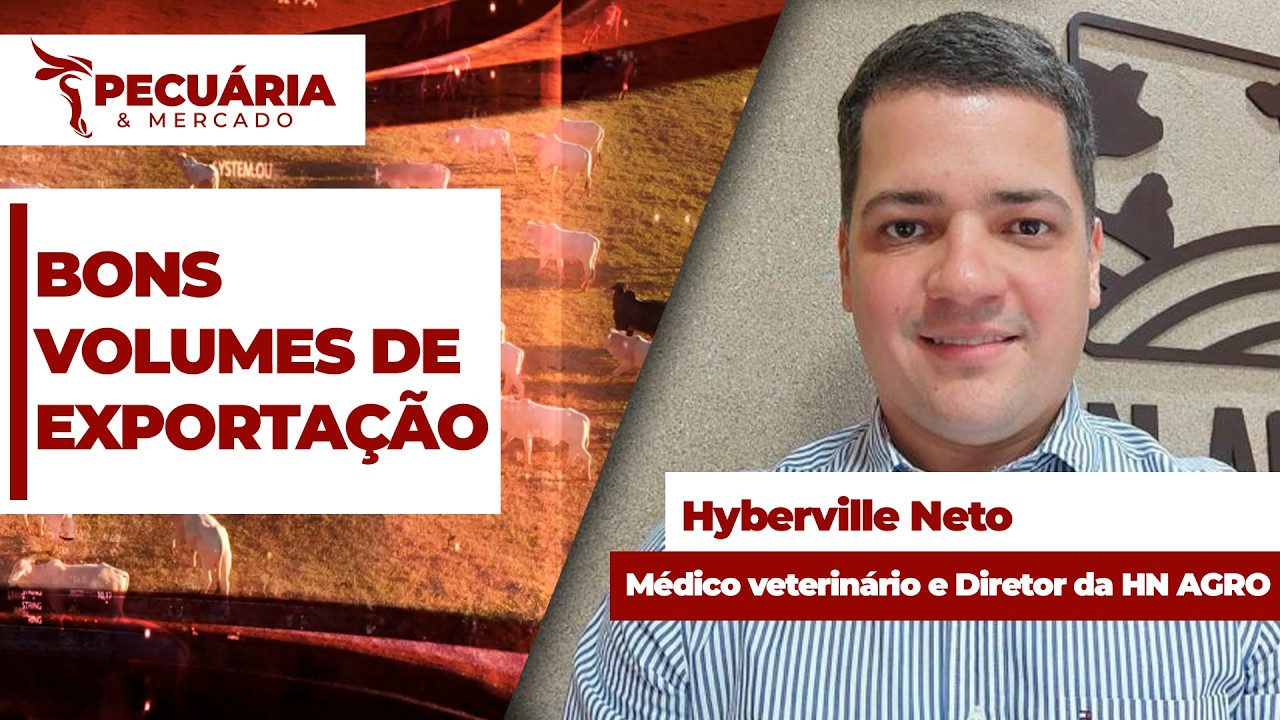 Apesar de fim da cota chinesa, mercado do boi encontra novo piso com bons volumes de exportação