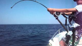 preview picture of video 'Montalto di castro driftng tonno pesca in mare parte 1'