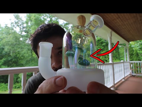 This Bong Has MUSHROOMS Inside of it!