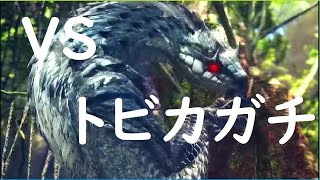 [MHW]へなちょこハンマーで挑むトビカガチ