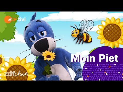 Woher kommt das Summen der Bienen? | Moin Piet - Quiz mit Quatsch | ZDFchen