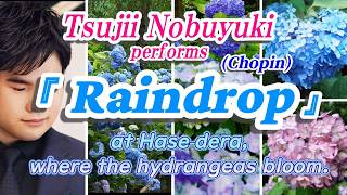 Download lagu ★Tsujii Nobuyuki『Raindrop』(Chopin)*at Hase‑dera,where the hydrangeas bloom. mp3 Download lagu ★Tsujii Nobuyuki『Raindrop』(Chopin)*at Hase‑dera,where the hydrangeas bloom. mp3