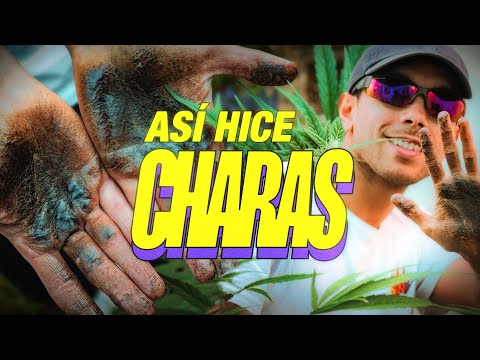 ¿Cómo se hace el CHARAS? | Concentrado de Marihuana hecho a mano