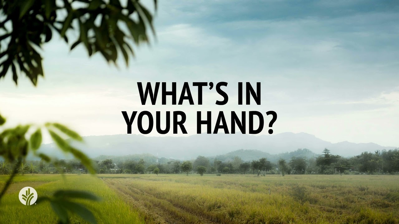 What's in Your Hand? | Audio Reading | Our Daily Bread Devotional | August 30, 2024
