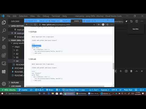 Learn Pony with Brian and Sean