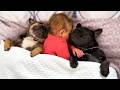 28 Die Besten Videos 2026 Stern DuTube