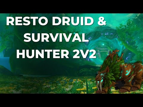 Resto Druid and Survival hunter 2v2 the best 2s comp!
