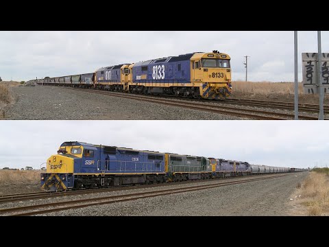 Grain Trains Cross: Quad SSR C Class & Twin Pacific National 81 Class (21/3/2019) - PoathTV Railways