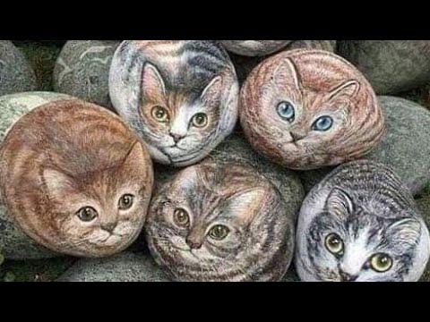 #Cat hunting Fish||🦈🐈