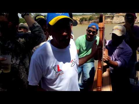 Cucarachero araucano ! Elorza 2014