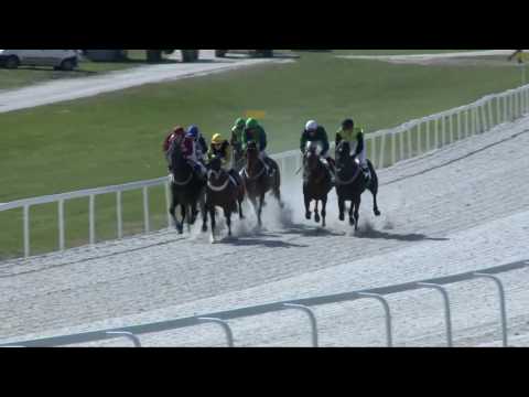 2017.04.23. 4. futam - HERCEG ODESCALCHI BÉLA EMLÉKVERSENY HENDIKEP (III.o.) (szintetikus pálya)