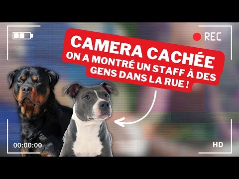 HIDDEN CAMERA: The reactions are crazy!