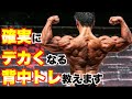実践すれば確実にデカくなってしまう背中トレ教えます。