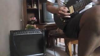 Video thumbnail for Peavey envoy 110 usa by Donker Ker