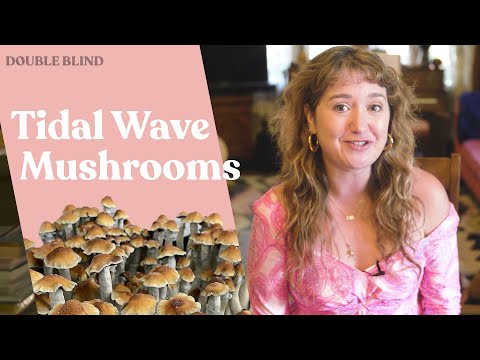 Tidal Wave Mushrooms 🍄 | DoubleBlind