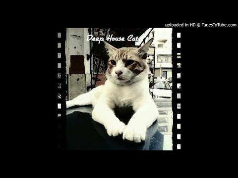 The Mankeys - Back To the House (Original Mix)