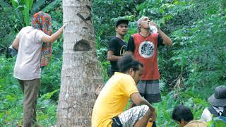 preview picture of video 'Trip halbar Maluku utara'