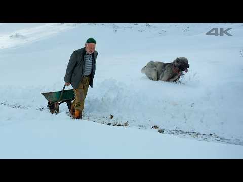 Where the Clouds Have Neighbours – Life in a Village 2300 Meters High | Documentary Film