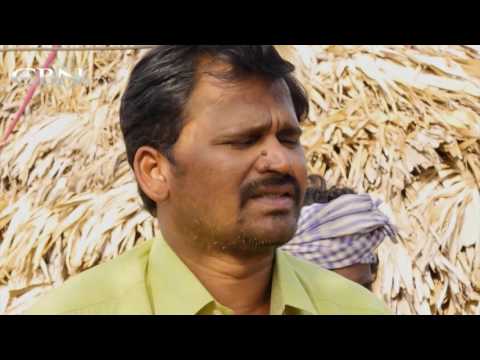 Beware the Snakes and Scorpions!