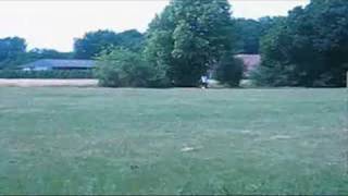 Sportfreunde Stiller - Budenzauber