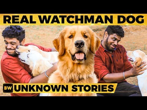 download lagu mp3 mp4 Watchman Behindwoods Review, download lagu Watchman Behindwoods Review gratis, unduh video klip Watchman Behindwoods Review