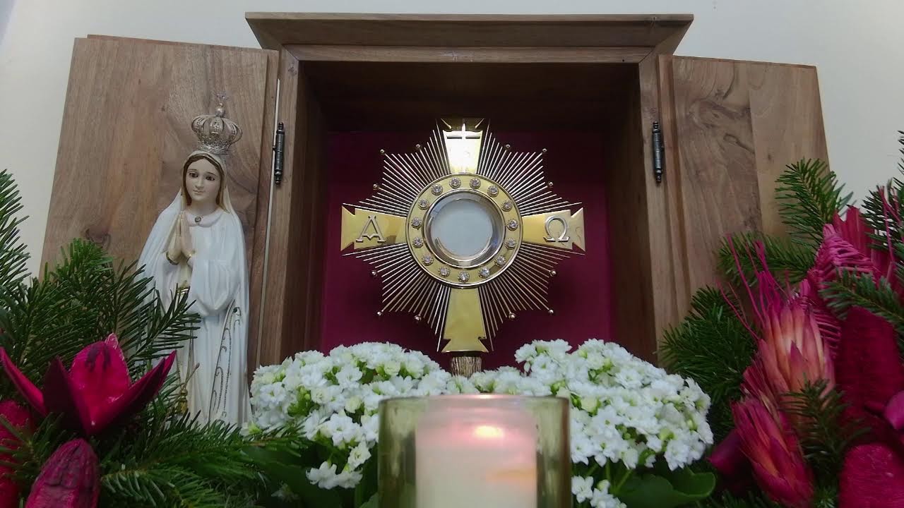 Live-Eucharistic Adoration from 3ltv Vienna, Austria