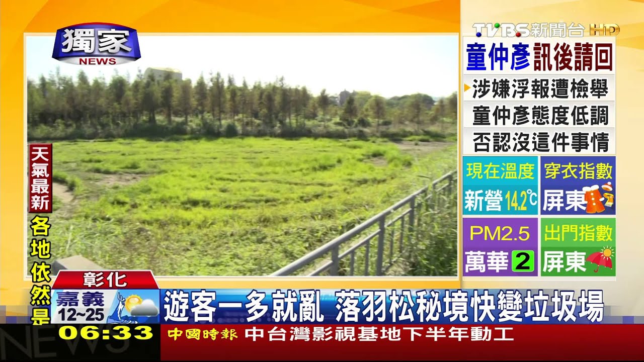 遊客一多就亂 落雨松秘境快變垃圾場!