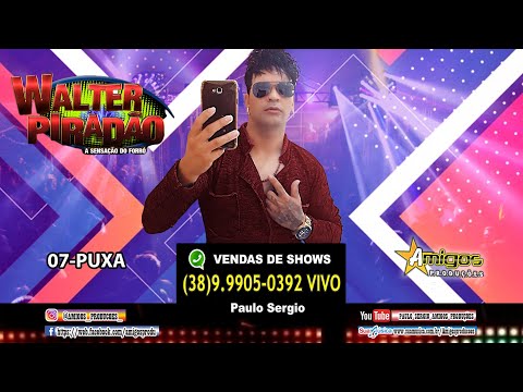 WALTER PIRADÃO CD COMPLETO O PIRADO NO FORRÓ AO VIVO PANCADÃO 2023 BALADA PIZEIRO E FOGUEIRAS