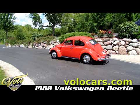 17626 - Volkswagen Beetle