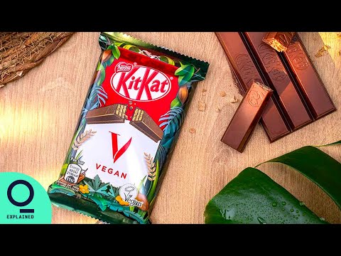 Inside KitKat Going Vegan