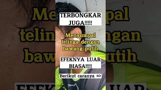 Download lagu Terbongkar Juga.!!! Menyumpal Telinga dengan bawang Putih Efeknya Luar Biasa Berikut Caranya mp3