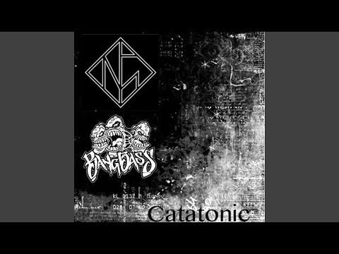 Catatonic (feat. NegativeGlitch)