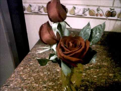 FG  Prenda Amada  -  Francisco Montoya