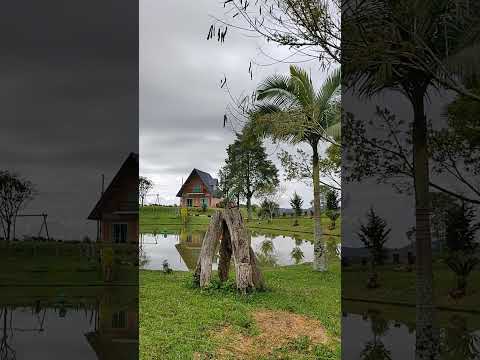 Pousada sítio colina em Presidente Nereu SC #birds # #natureza