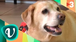 Thumbnail del capítulo