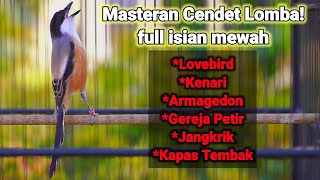 Download lagu PANCINGAN CENDET ISIAN LOVEBIRD KENARI ARMAGEDDON GEREJA PETIR 100% COCOK BUAT MASTERAN LOMBA mp3