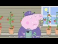 Peppa Pig Champion Daddy Pig 41 Episode 3 Season HD
