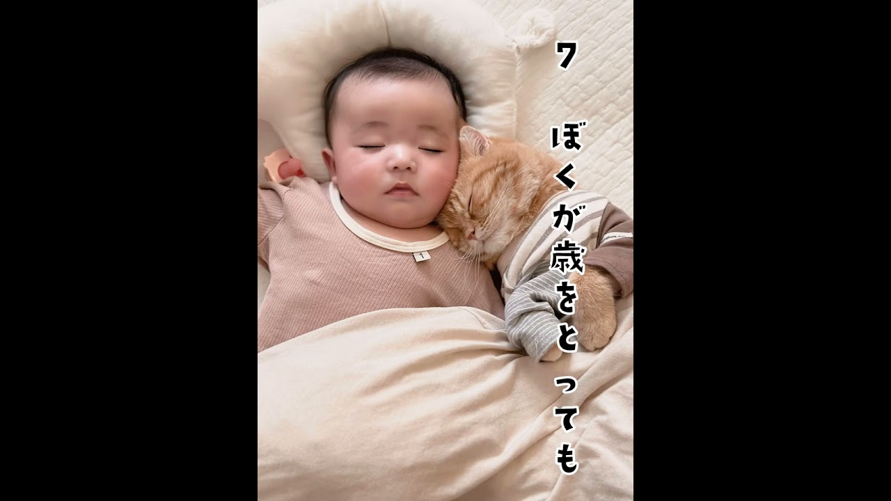 まるとひなたんの10の約束😸🤝🏻👶🏻💕