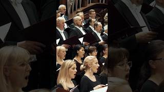 Lacrimosa by Mozart with subtitles in 20 languages – English, Español, Português, Türkçe, 中文 ...