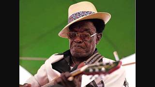 Lightnin' Hopkins Shaggy Dad