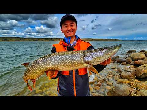 Shore Fishing for Big Northern Pikes