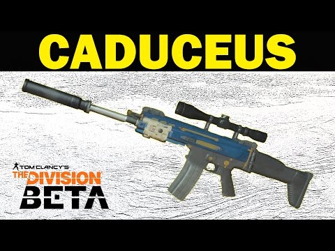 The Division Beta: Caduceus High End Weapon Review!